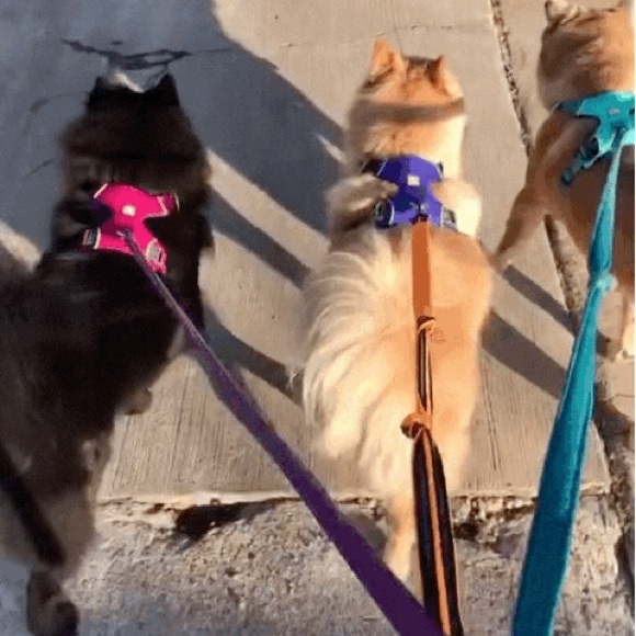 Meet your Posher, Emily - Picture 11 of 16